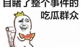傻雕漫画吃瓜系统免费观看,吃瓜系统免费畅享，揭秘热门剧情一网打尽！
